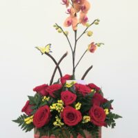 Mata de Orquideas con Rosas Rojas
